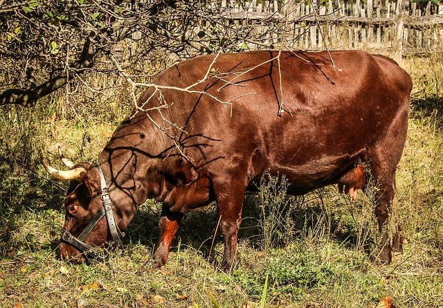 Foto do arquivo: fornecida por 【número sorteado da mega sena do concurso 2550】