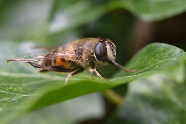 Foto do arquivo: fornecida por 【resultado da loteria federal primeiro ao décimo】