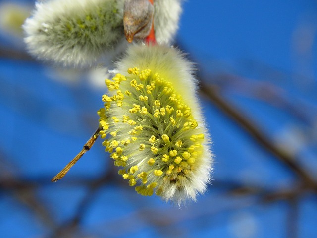 Foto do arquivo: fornecida por 【SYMBOLS】