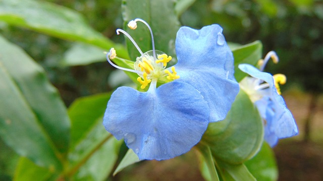 Foto do arquivo: fornecida por 【jogo das frutinhas que ganha dinheiro】