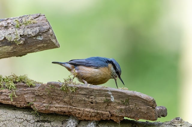 Foto do arquivo: fornecida por 【link da estrela bet】