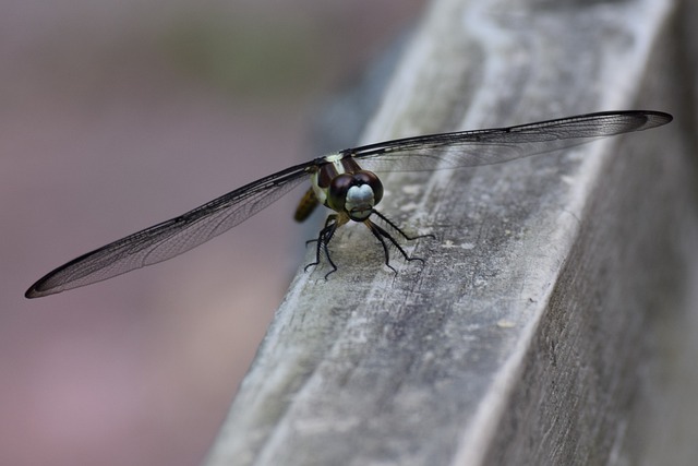 Foto do arquivo: fornecida por 【resultado lotep de hoje】