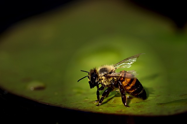 Foto do arquivo: fornecida por 【caça níqueis da bruxinha】