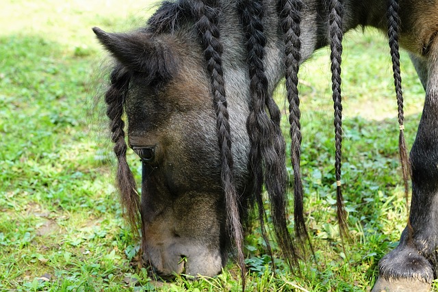 Foto do arquivo: fornecida por 【excluir conta da bet365】