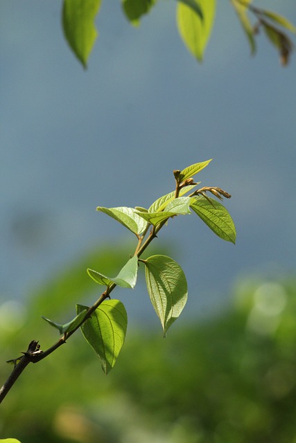 Foto do arquivo: fornecida por 【ovo188 slot】