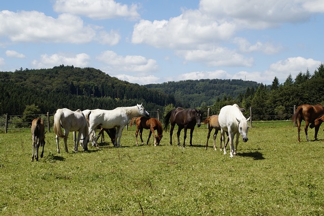 Foto do arquivo: fornecida por 【dias da mega sena sorteio】