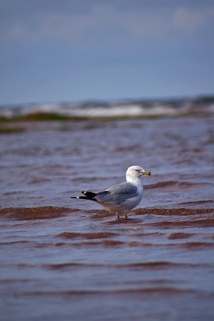 Foto do arquivo: fornecida por 【Ganhadores atuais da Loteria Federal】