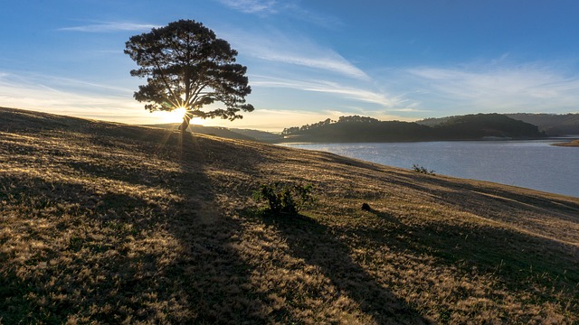 lotofácil de sábado