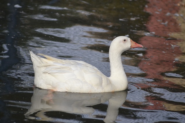 Foto do arquivo: fornecida por 【resultado da lotofácil de hoje no giga sena】