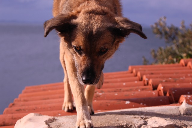 Foto do arquivo: fornecida por 【recarga jogo 5 reais】