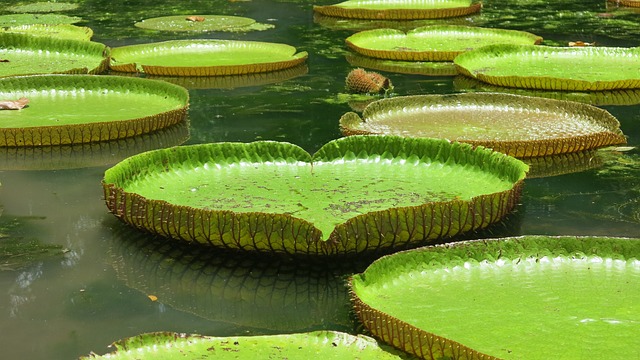 Foto do arquivo: fornecida por 【resultado da loteria dos sonhos das 2 horas da tarde】