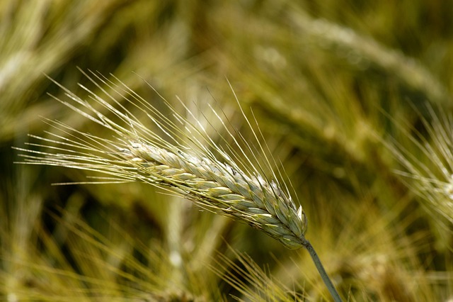 Foto do arquivo: fornecida por 【quina 5308】