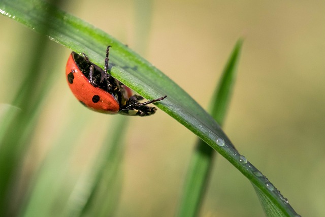 Foto do arquivo: fornecida por 【betfiery dicas】