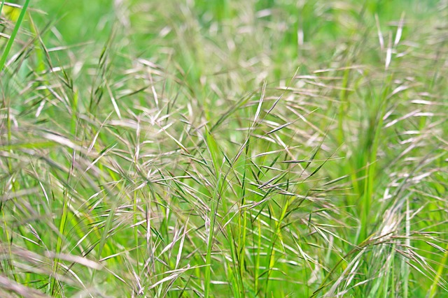 Foto do arquivo: fornecida por 【cassino bonus cadastro sem deposito】