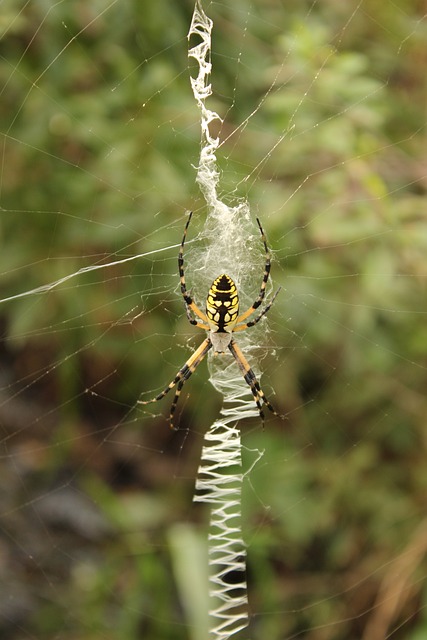 Foto do arquivo: fornecida por 【loteria federal 5169】