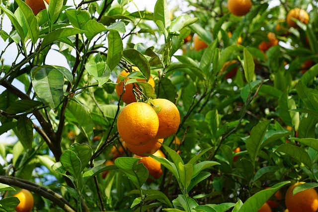 Foto do arquivo: fornecida por 【caixa loterias lotofácil resultado】