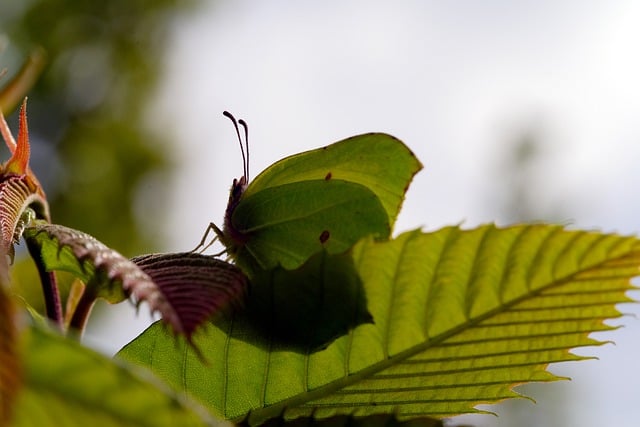 Foto do arquivo: fornecida por 【resultado loteria dacaixa】