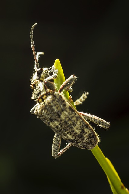 Foto do arquivo: fornecida por 【ganhar dinheiro online】