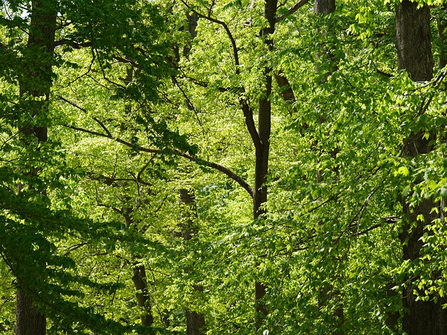 Foto do arquivo: fornecida por 【resultado bicho corujinha】