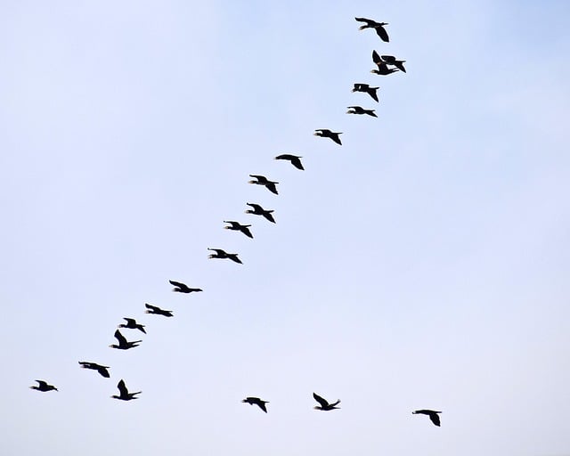 Foto do arquivo: fornecida por 【resultado do jogo do bicho das 9 45 de hoje】