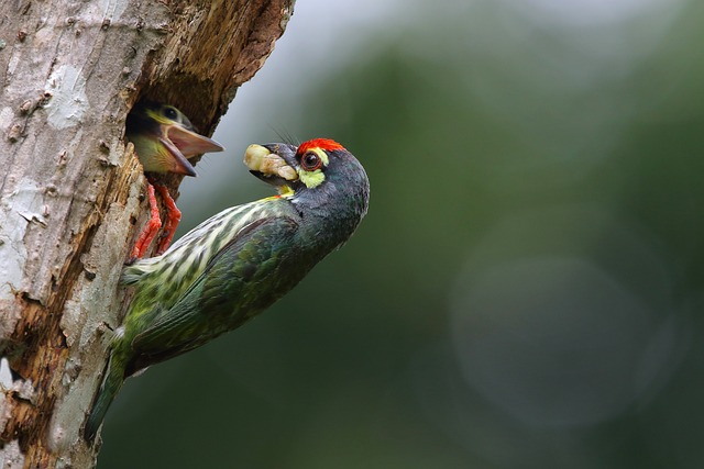 Foto do arquivo: fornecida por 【lotofácil do dia 29】