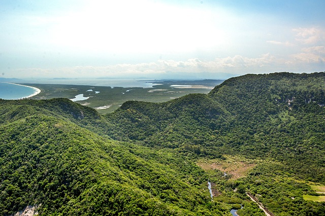 nova plataforma do tigre