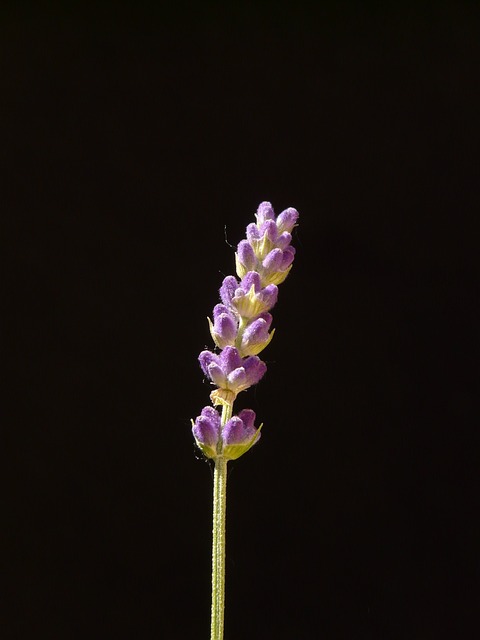 Foto do arquivo: fornecida por 【Resultado de hoje do concurso da Loteria Federal】