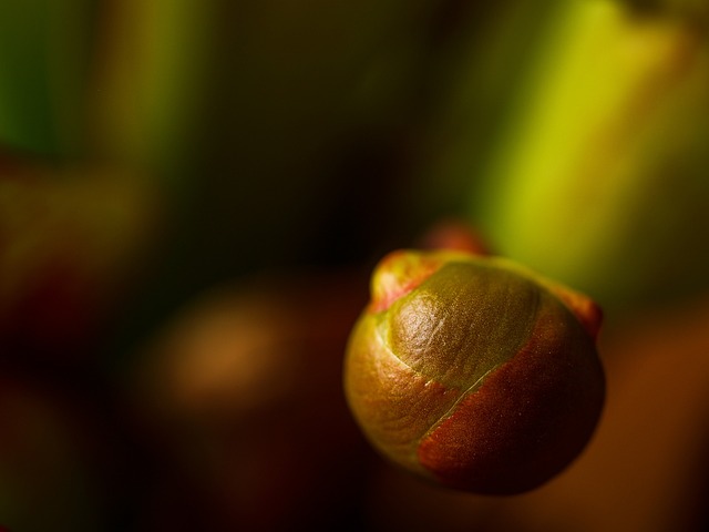 Foto do arquivo: fornecida por 【jogo da cobrinha cobrinha】