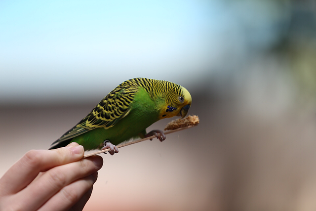 Foto do arquivo: fornecida por 【resultado jogo do bicho das 11 horas de hoje】