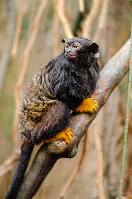 Foto do arquivo: fornecida por 【resultado da loteria federal de hoje 19hs 2022 caixa】