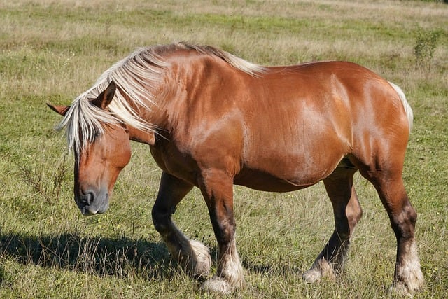 Foto do arquivo: fornecida por 【resultado da lotofácil concurso 2038】