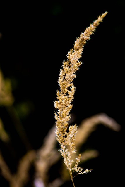 Foto do arquivo: fornecida por 【tigrinho grande ganho】