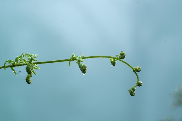 unique cassino