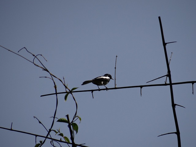 Foto do arquivo: fornecida por 【fiz um pix errado e a pessoa não quer devolver】