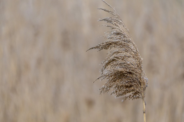 Foto do arquivo: fornecida por 【Quem está se destacando no embate】