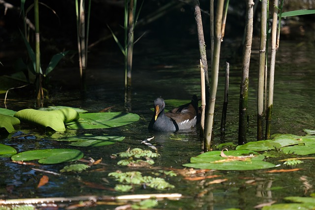 Foto do arquivo: fornecida por 【loteria estadual do ceará】