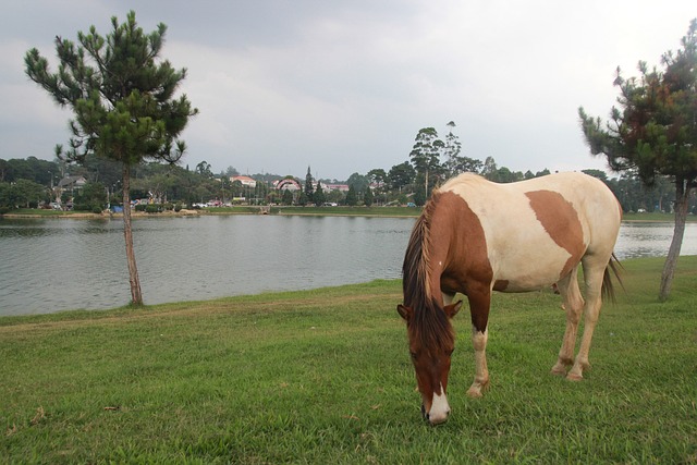 Foto do arquivo: fornecida por 【jogos cassino】