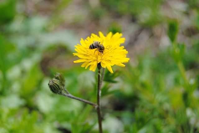 Foto do arquivo: fornecida por 【bet[】