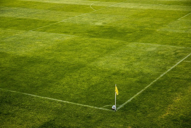 resultado do jogo do bicho das 22 horas