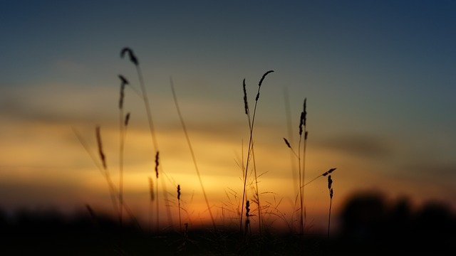 Foto do arquivo: fornecida por 【resultado da lotofácil concurso 702】