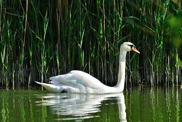 Foto do arquivo: fornecida por 【resultado quina 5495】