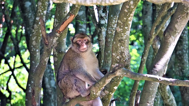 Foto do arquivo: fornecida por 【lilibet casino】