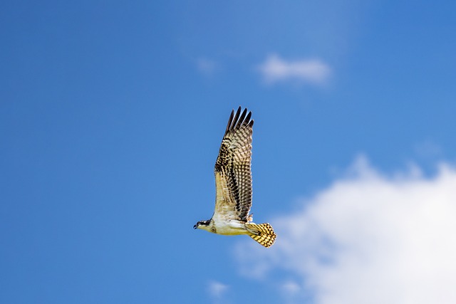 Foto do arquivo: fornecida por 【mega sena 2352 resultado de hoje ganhadores】