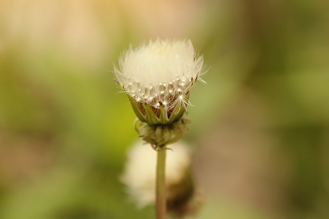 Foto do arquivo: fornecida por 【roulette minimum bet】