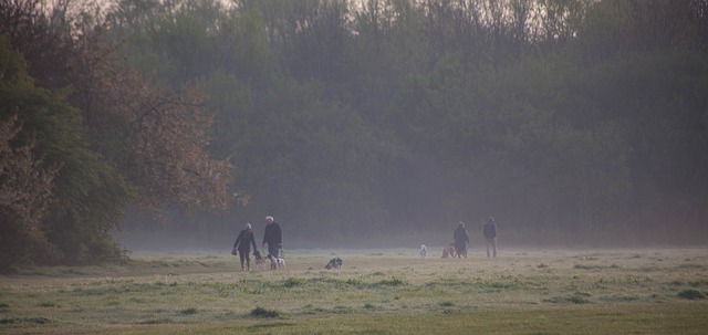 Foto do arquivo: fornecida por 【modalidades esportivas coletivas】