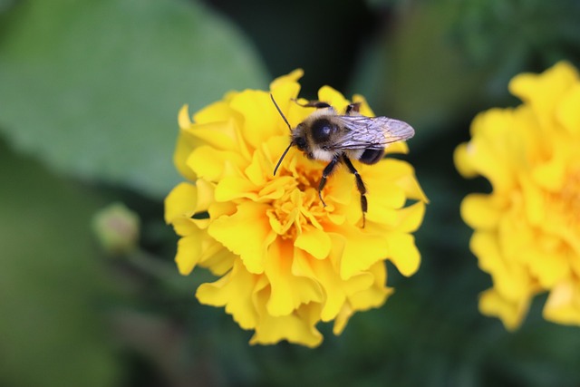 Foto do arquivo: fornecida por 【Sugestão certeira para o bicho de hoje】