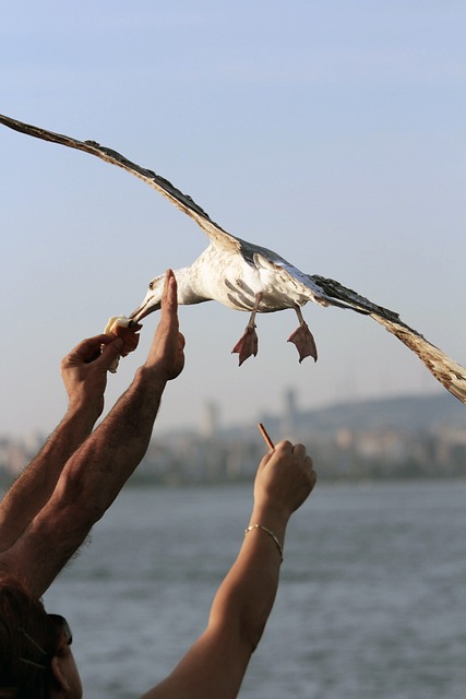 Foto do arquivo: fornecida por 【Sugestão de bicho para hoje】