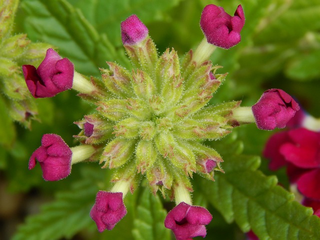 Foto do arquivo: fornecida por 【resultado lotep pb】