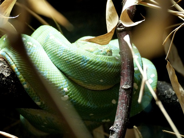 Foto do arquivo: fornecida por 【resultado do bicho dia】