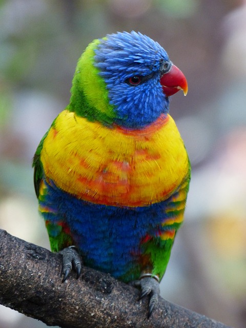 Foto do arquivo: fornecida por 【new slot sites】